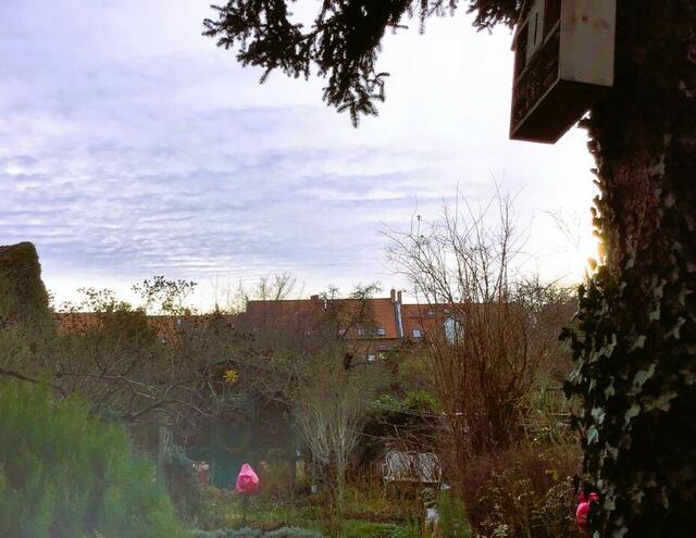 Gestern Sonnenschein, heute überwiegend bewölkt und feucht...