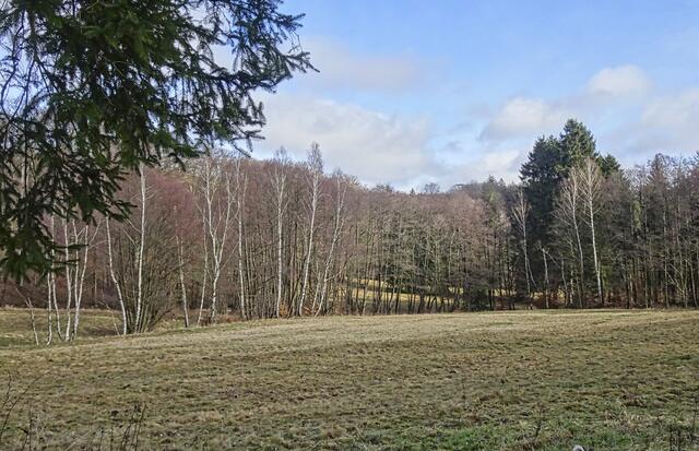im Krebsbachtal