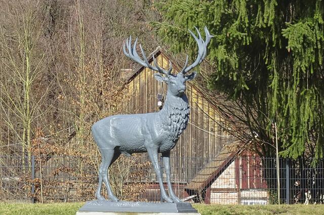 der Akademie Hirsch