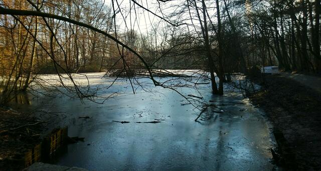Endlich schien wieder einmal die Sonne. | Foto: Shima Mahi