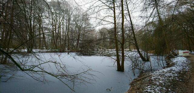 Eine dünne Schnee- und Eisdecke liegt nun auf dem Teich. | Foto: Shima Mahi