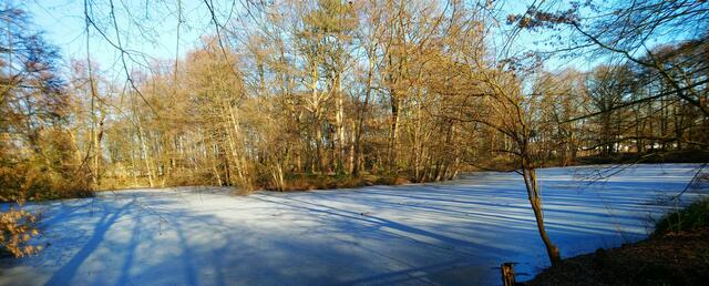 Schöner Schattenwurf auf der Eisfläche | Foto: Shima Mahi