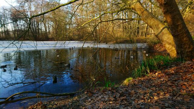 Mit Sonne ist es hier noch mal so schön. | Foto: Shima Mahi