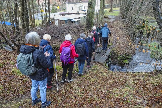 Behelfsbrücke am Hornsteich