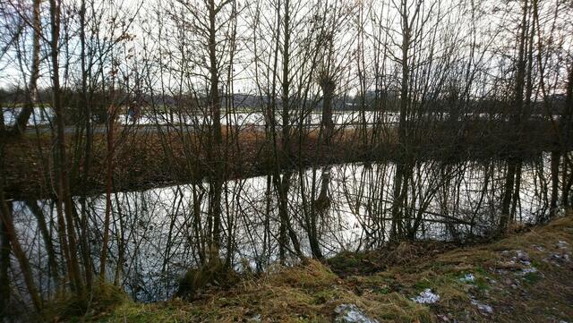 In den Laher Wiesen: Vorne verläuft ein Wassergraben, dahinter ist ein Feld mit Eisfläche. | Foto: Shima Mahi