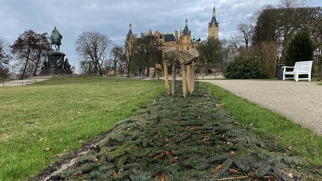 Noch sichert der Winterschutz die Blumenbeete des Schlossgartens. Foto: Helmut Kuzina