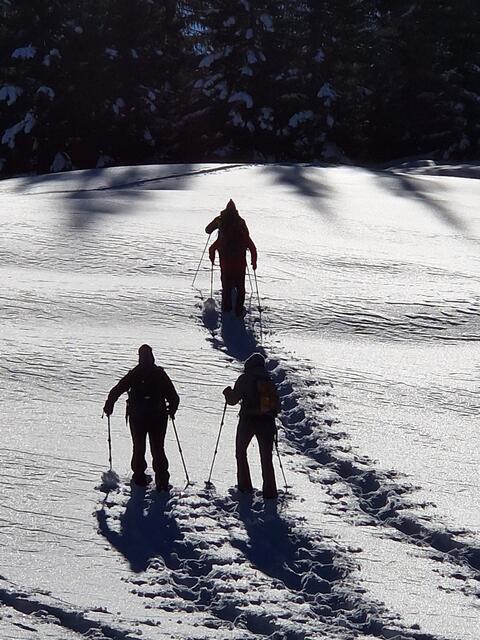 Schneeschuhwandern ist ein besonderes Naturerlebnis in der Bergwelt. | Foto: Peter Metzger