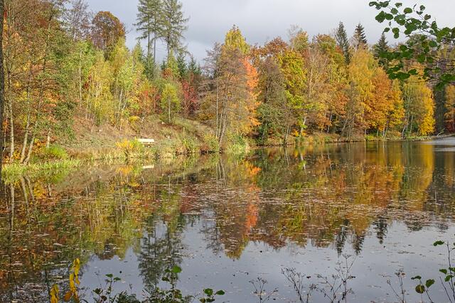 Elbingstalteich im Herbst