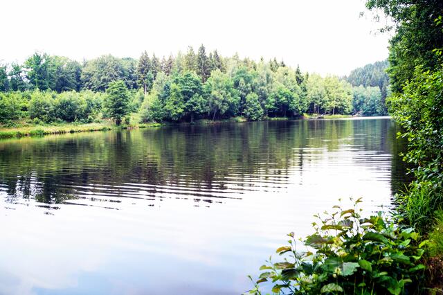 Elbingstalteich im Frühjahr