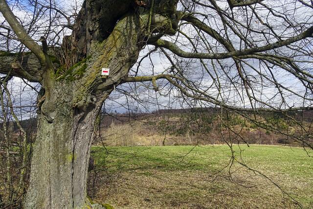am Güntersberger Weg, etwa in diesem Bereich soll das Hochwasserrückhaltebecken entstehen