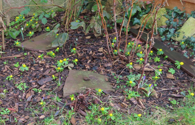 Ausschnitt aus dem Original-Foto. | Foto: M. A.