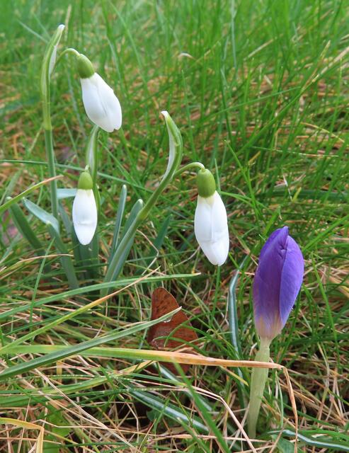 Ausschnitt aus dem Original-Foto. | Foto: M. A.