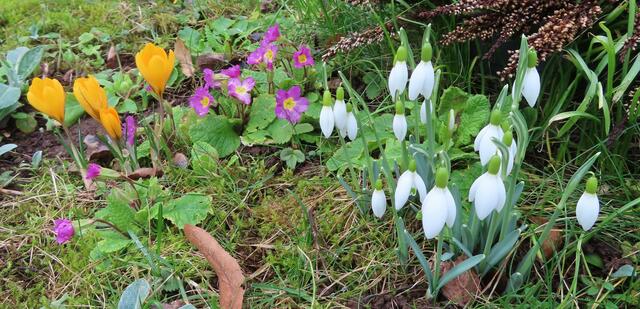 Ausschnitt aus dem Original-Foto. | Foto: M. A.