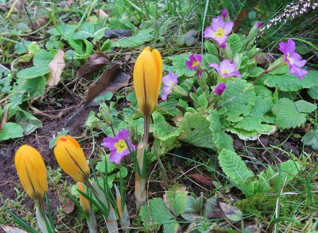 Ausschnitt aus dem Original-Foto. | Foto: M. A.