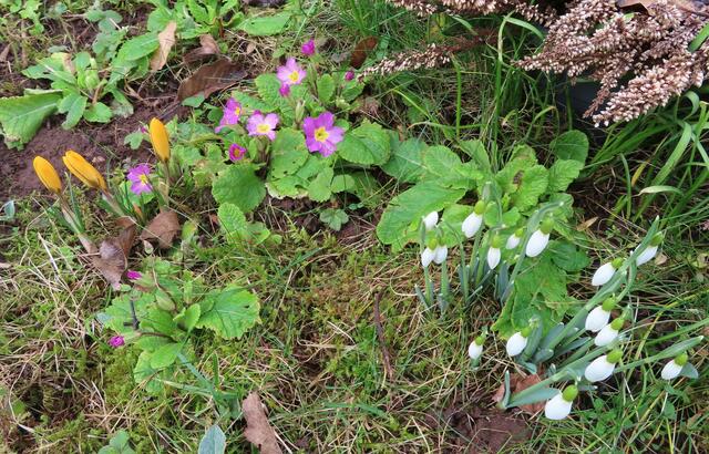 Ausschnitt aus dem Original-Foto. | Foto: M. A.