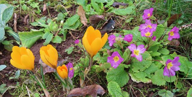 Ausschnitt aus dem Original-Foto. | Foto: M. A.