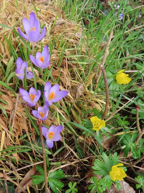 Ausschnitt aus dem Original-Foto. | Foto: M. A.