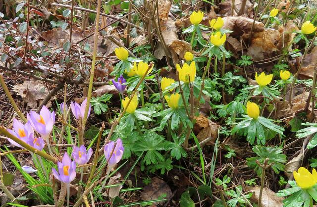 Ausschnitt aus dem Original-Foto. | Foto: M. A.