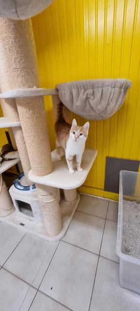 Peanut | Foto: Sabine Pollok