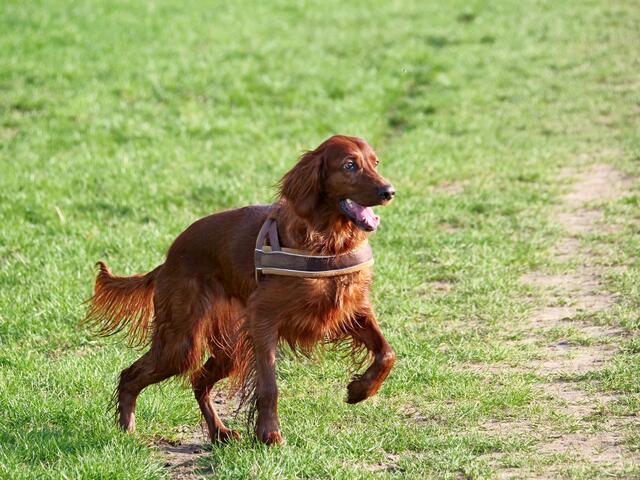 Ich renn mich jetzt trocken!
