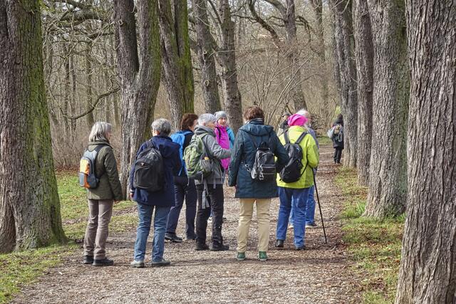 Baumallee im Schlosspark