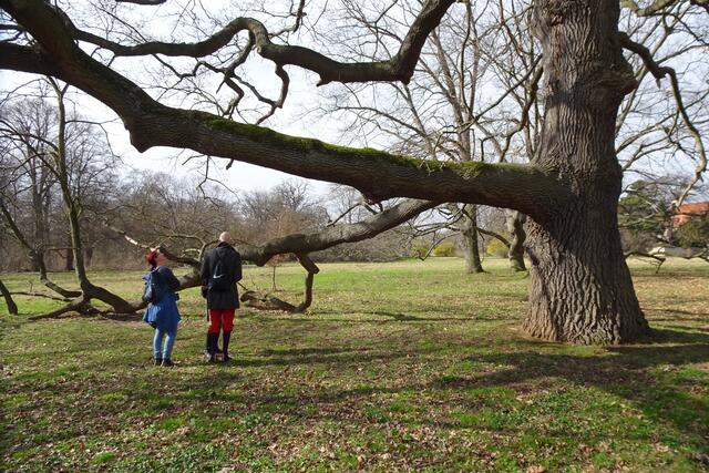 im Schlosspark