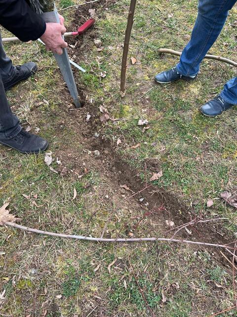 Der Boden für die Weiden wird vorbearbeitet - ein Kraftakt! | Foto: Melina Drüssler