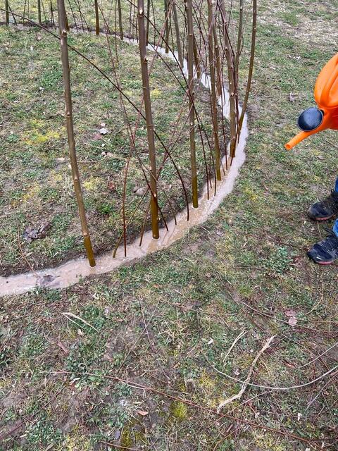 Jetzt heißt es: wässern, warten und pflegen! | Foto: Melina Drüssler