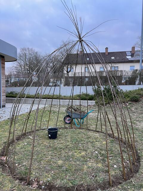 Die Weidenspitzen werden zu einem Dach zusammengebunden.  | Foto: Melina Drüssler