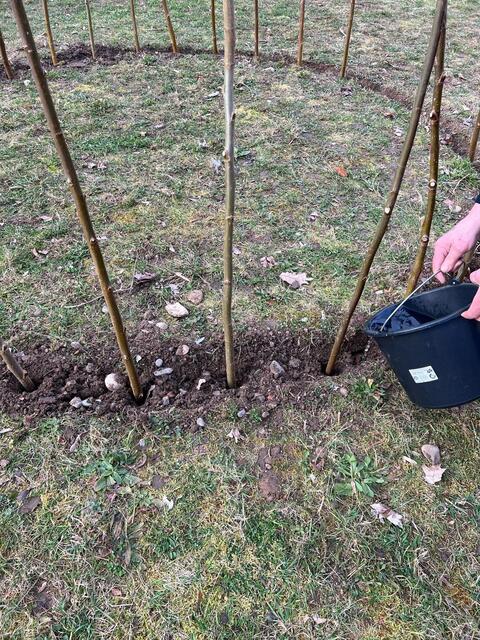 Wichtig: wässern, wässern, wässern! | Foto: Melina Drüssler