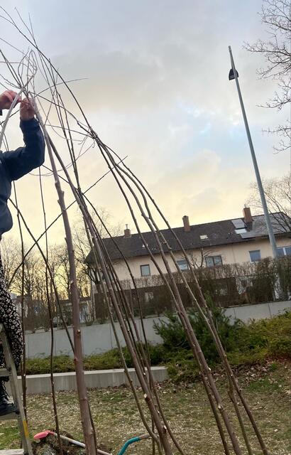 …und die Weiden mit einem Strick zusammengebunden.  | Foto: Melina Drüssler
