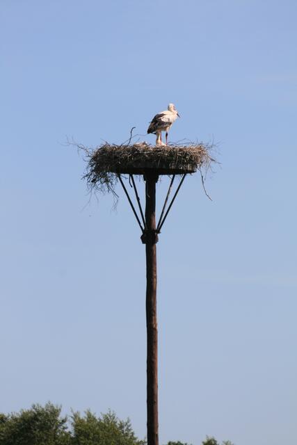 Foto: Eigene Fotos von HanS SachS