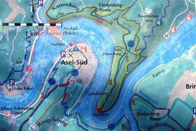 Von Basdorf führte der Weg in Richtung Asel auf den Urwaldsteig Edersee mit dem Knorreichenstieg.