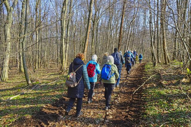 durch Buchenwäldern oberhalb des Leinetals