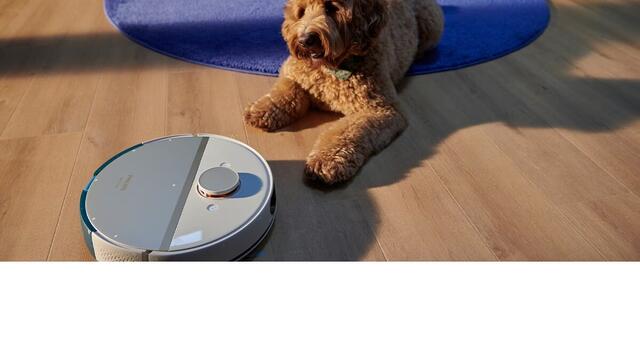 Auch Vierbeiner erfreuen sich an smarter Haushaltstechnik:  | Foto: Philips/TRD Pressedienst