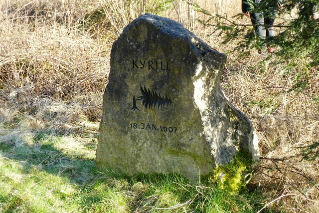 Südöstlich von Basdorf steht ein Gedenkstein an das Orkantief Kyrill. Es zerstörte hier am 18.01.2007 große Waldflächen.