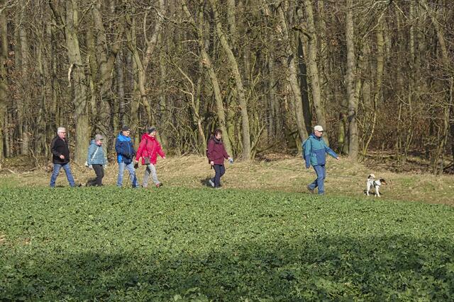 auf dem Weg zwischen Wald und Flur