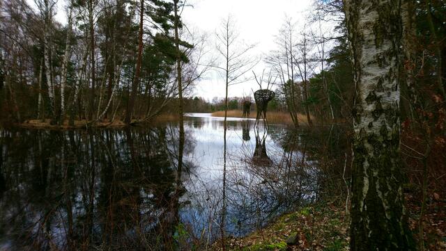 Wasser so weit das Auge reicht! | Foto: Shima Mahi