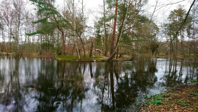 Die Insel darf endlich Insel sein. | Foto: Shima Mahi
