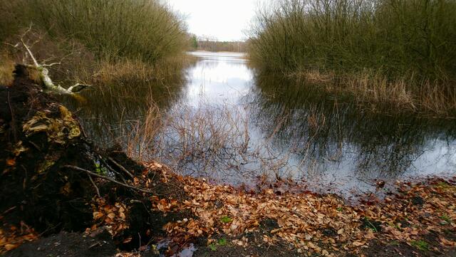 Vom Rundweg aus gesehen | Foto: Shima Mahi