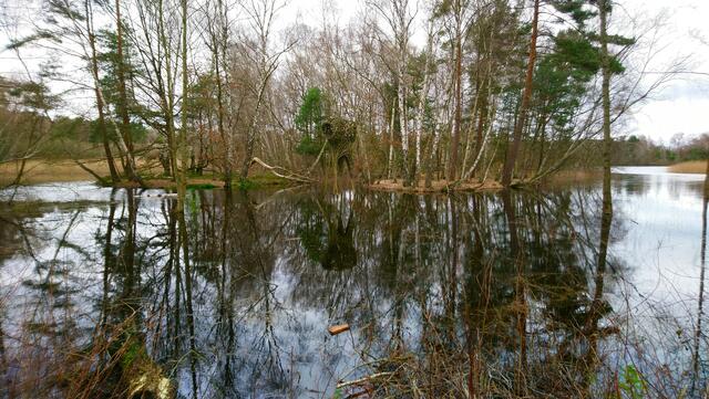 Blick auf eine der neun Stationen: Stelzennester | Foto: Shima Mahi