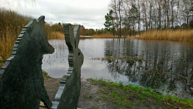 Da staunen Fuchs und Hase. | Foto: Shima Mahi