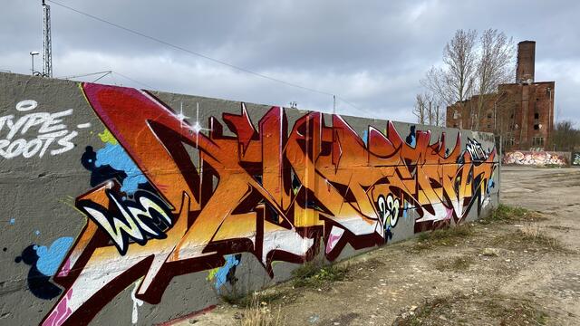 Im Wildstyle haben die Buchstaben des Graffitos starke Verschnörkelungen, wodurch die Schrift kaum erkennbar ist. („Graffiti Hall“ am Platten Kamp.) Foto: Helmut Kuzina