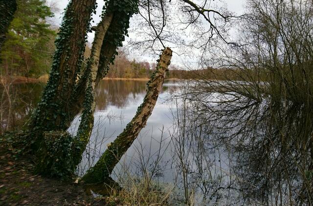 Würmsee mit viel Wasser | Foto: Shima Mahi