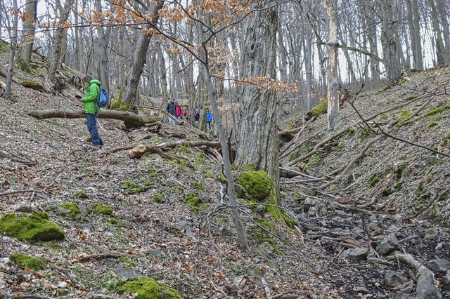 Wandergruppe beim Abstieg ins Selketal, rechts ein mittelalterlicher Hohlweg