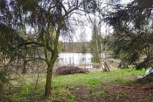 Teich im oberen Teufelstal