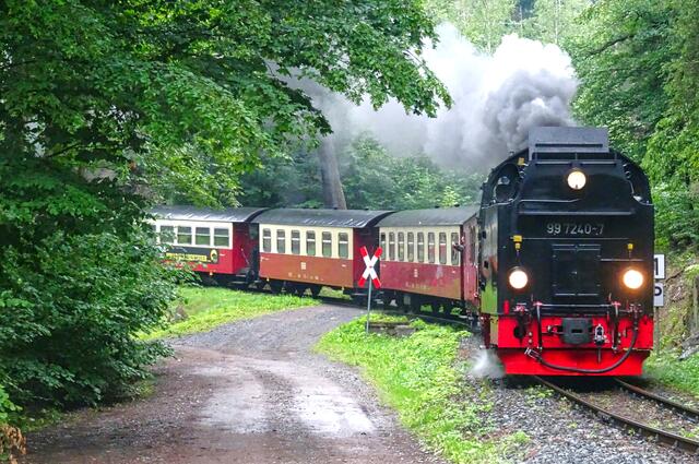 die Selketalbahn in Höhe des Krebsbachtales (Drahtzug)