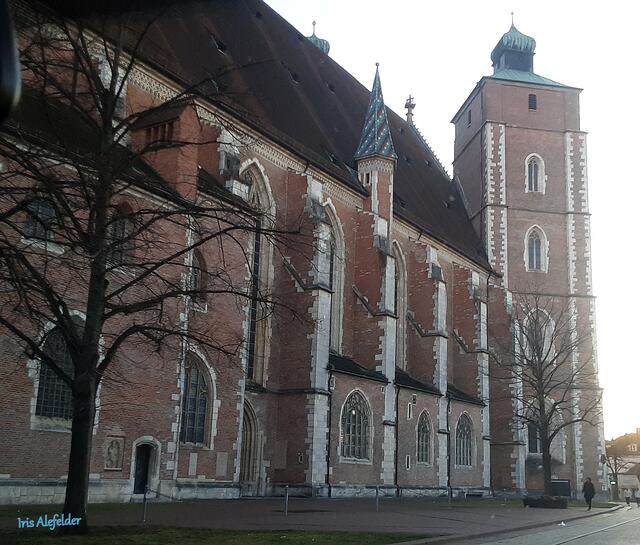 Foto: Iris Alefelder