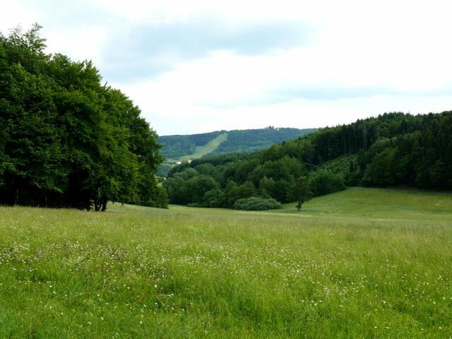 Blick auf die Salzwiese.