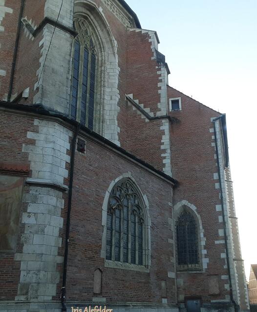 Foto: Iris Alefelder